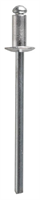 STAYER 3.2 х 6 мм, 1000 шт., заклепки алюминиевые ProFIX 31205-32-06 - фото 131024